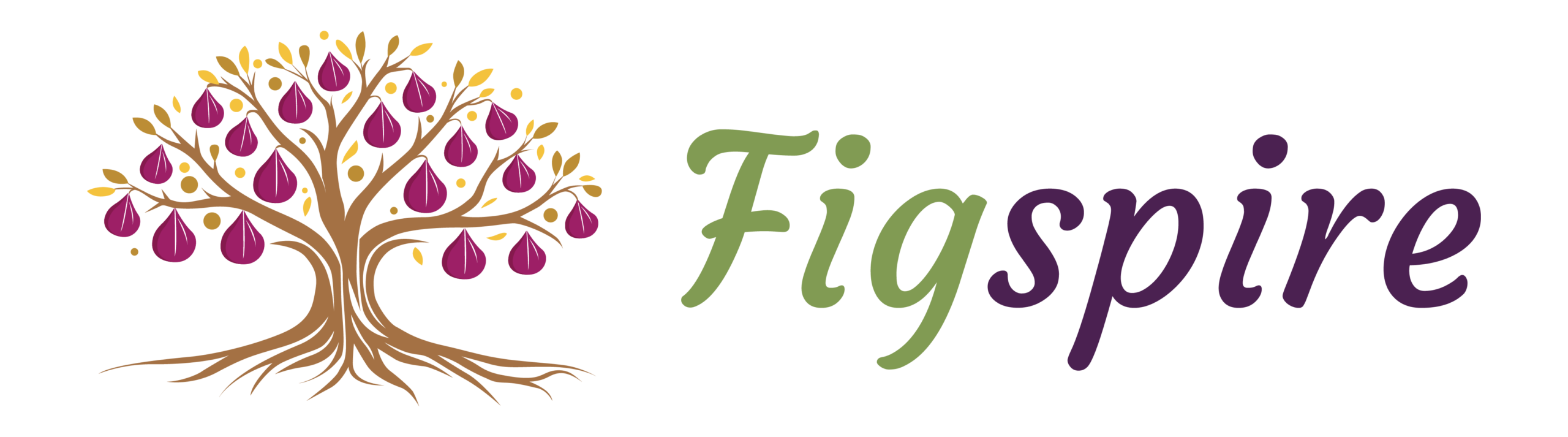 Figspire Management